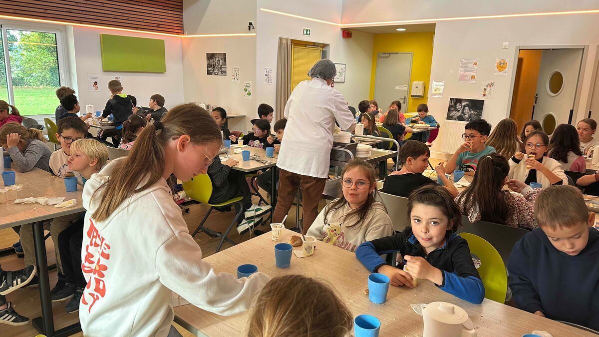 Un repas au calme : la cantine de la Roche-Jaudy innove pour réduire le bruit