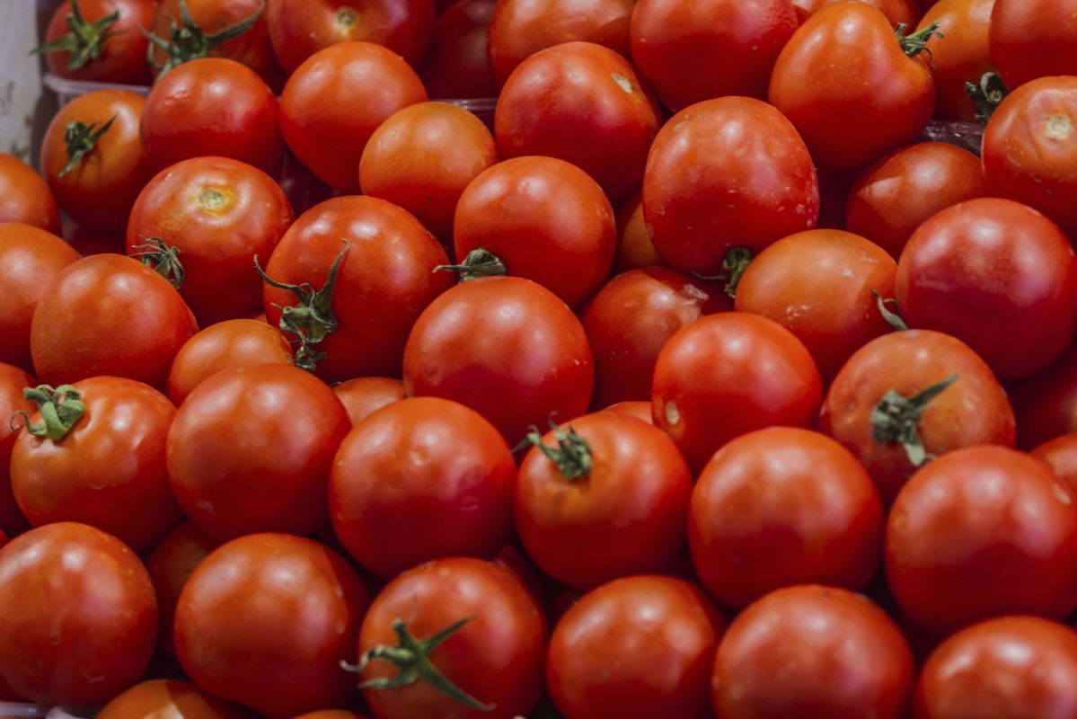 Les tomates : un allié surprenant pour la fertilité masculine