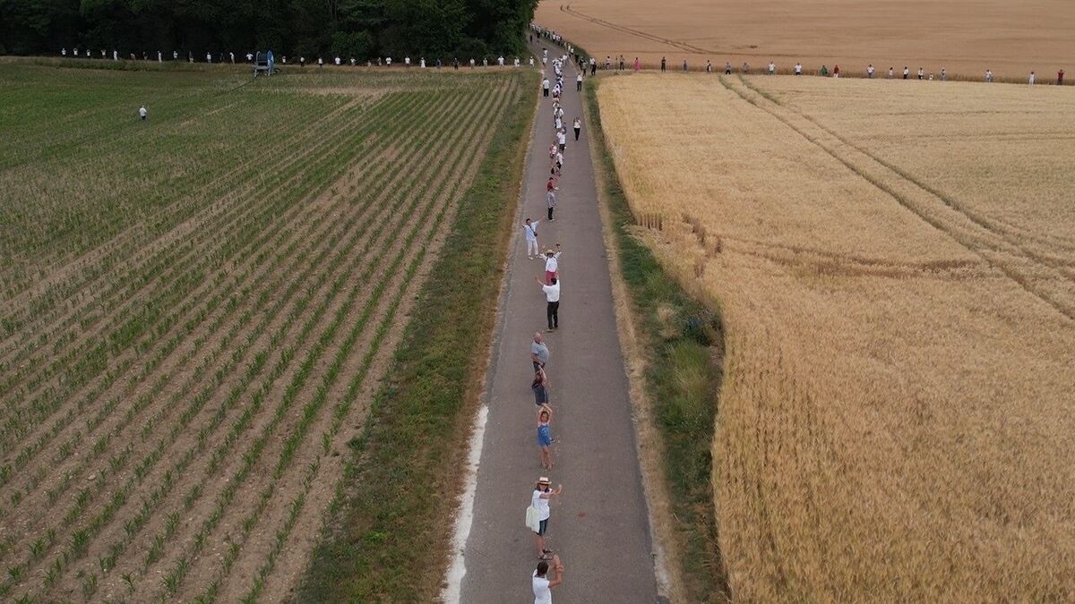 Griselles : une victoire pour les riverains face aux éoliennes XXL