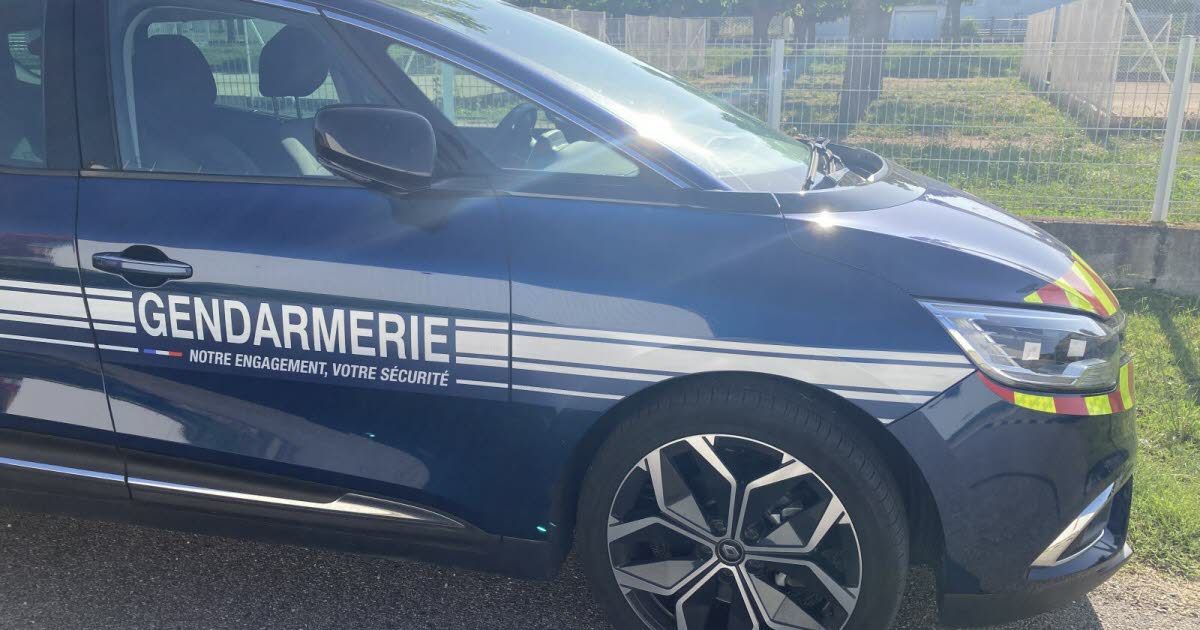 Un septuagénaire retrouvé après une nuit dans les bois : une histoire de courage et de solidarité