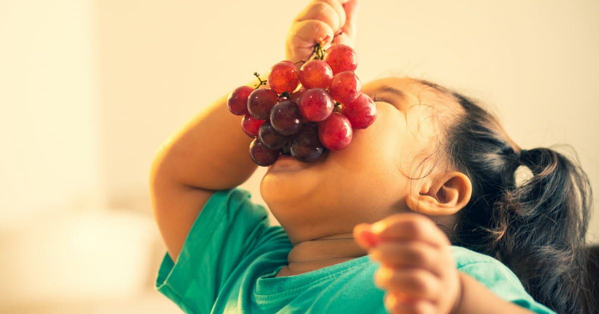 Quand et comment manger des fruits pour en maximiser les bienfaits ?