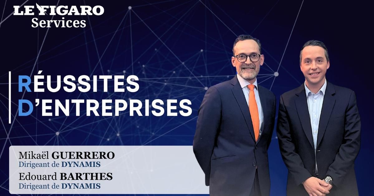 Optimisez vos dépenses : Dynamis Partner pour la performance des PME