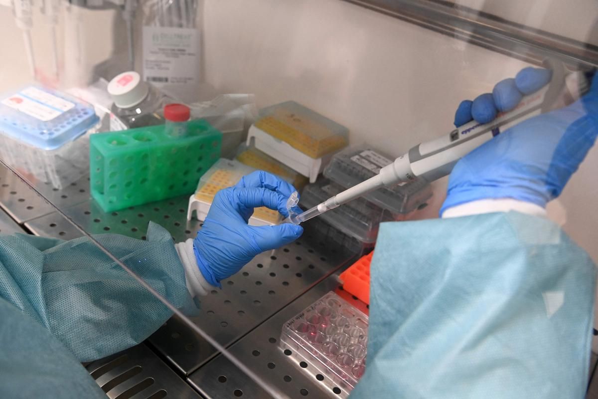 Un tournant majeur dans la lutte contre la dengue : le Brésil approuve un vaccin à dose unique