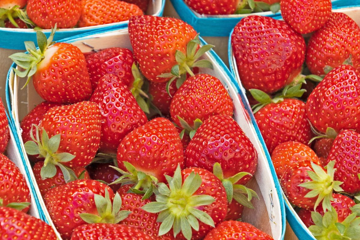 les petites graines blanches des fraises : un rôle surprenant