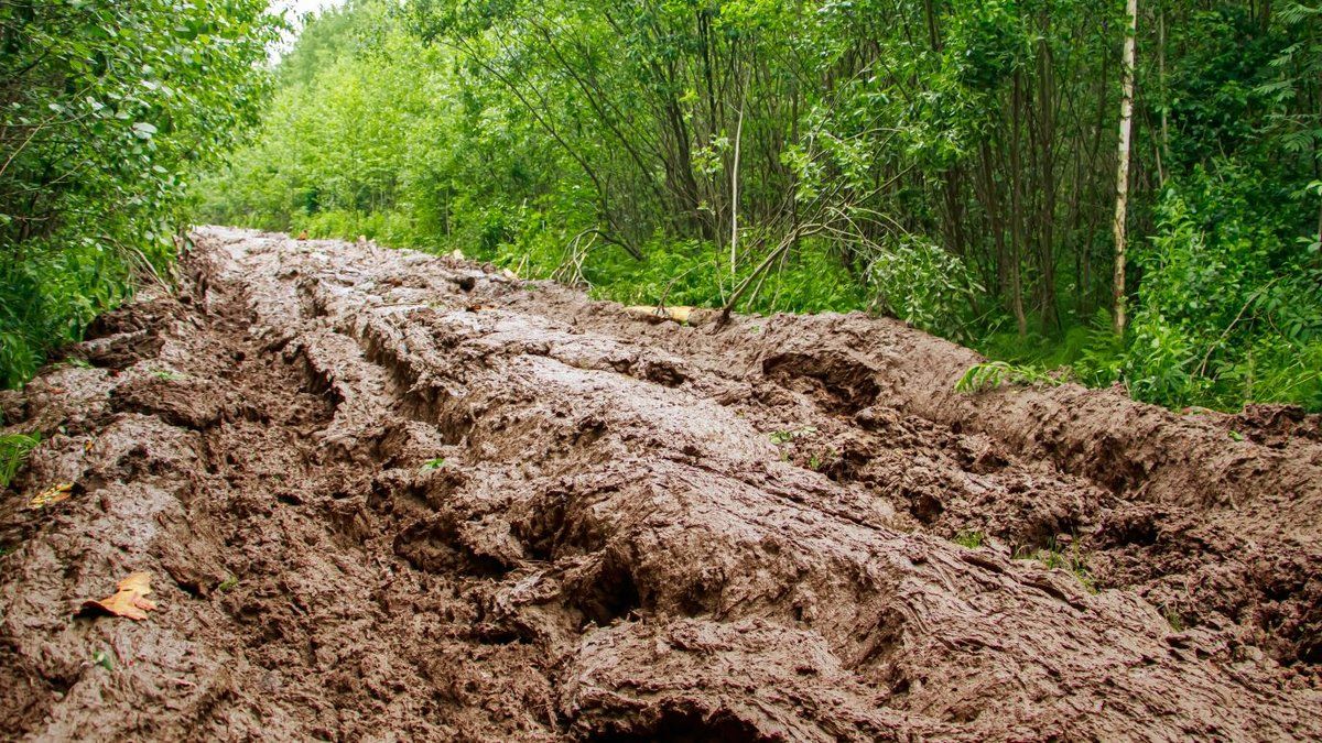 Tragique glissement de terrain à Tahiti : quatre victimes et des disparus