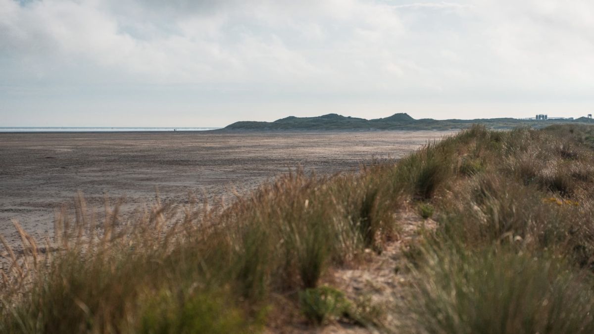 Des billes de plastique en mer : une alerte pour les plages du Nord