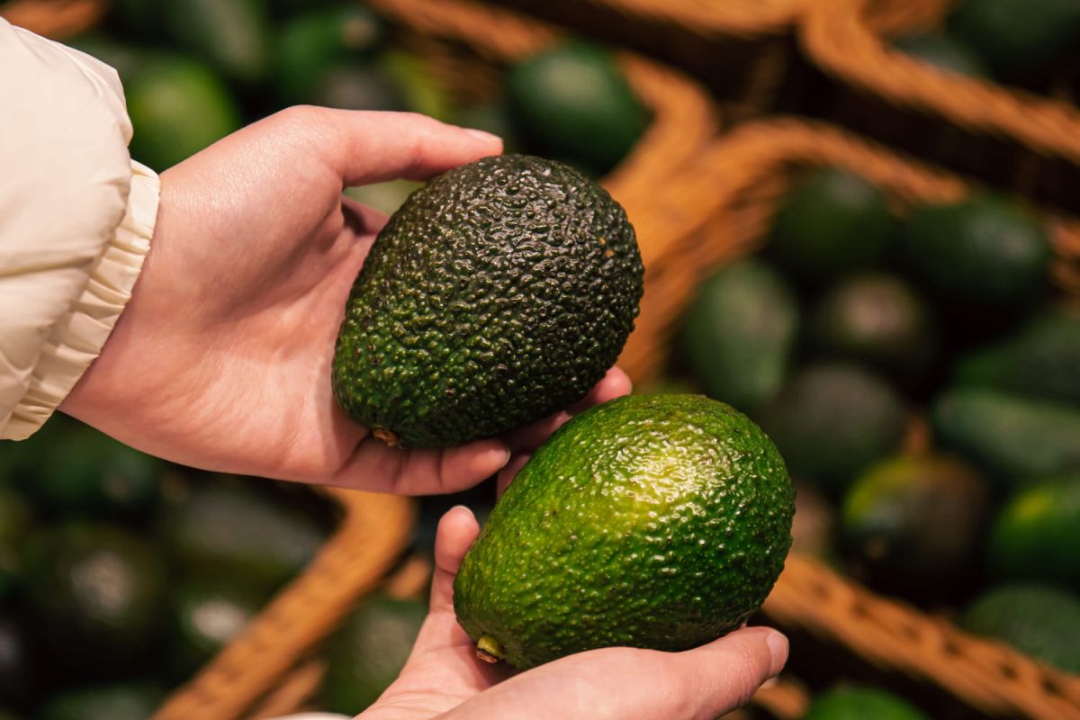 Comment choisir un avocat parfaitement mûr : astuces incontournables