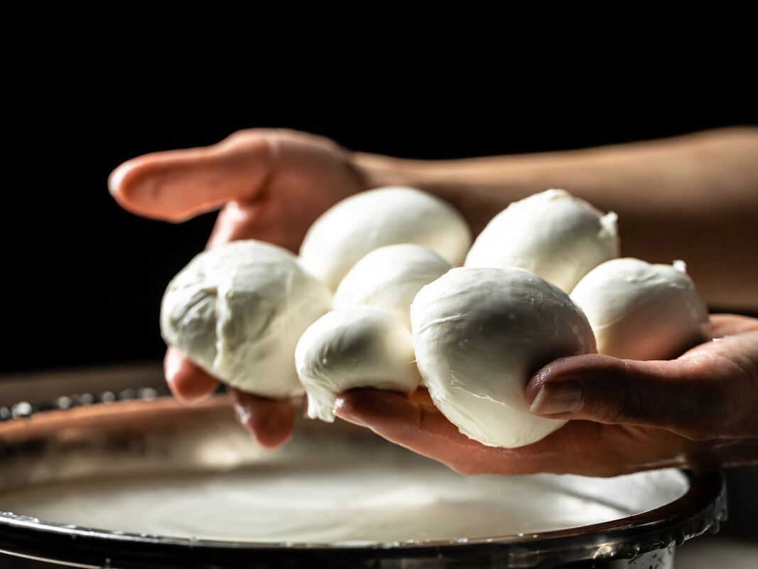 Des recettes irrésistibles à la mozzarella
