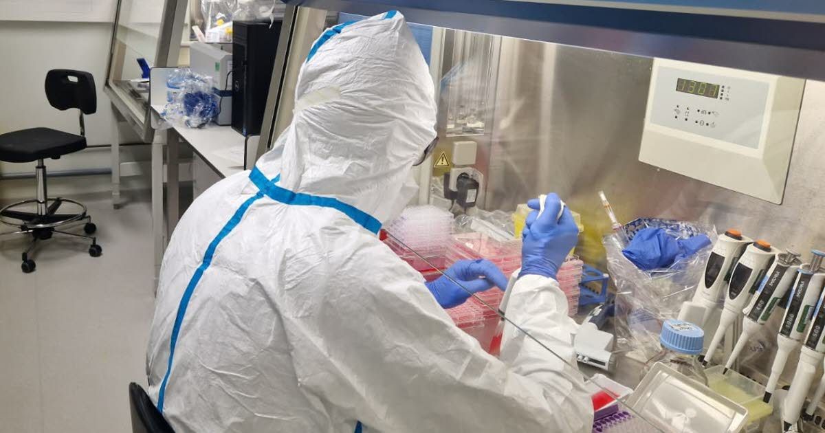 L’Institut Pasteur s’inquiète de la grippe aviaire : un risque de pandémie sous surveillance