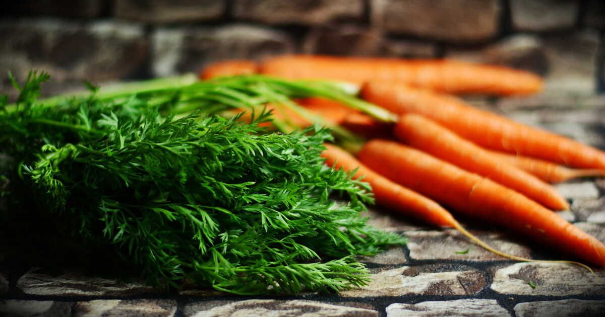 Redécouvrez les fanes de carottes : de nouvelles saveurs à adopter