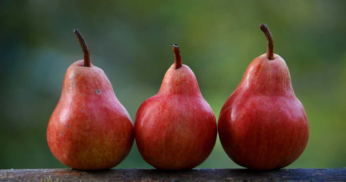 Comment conserver vos poires efficacement