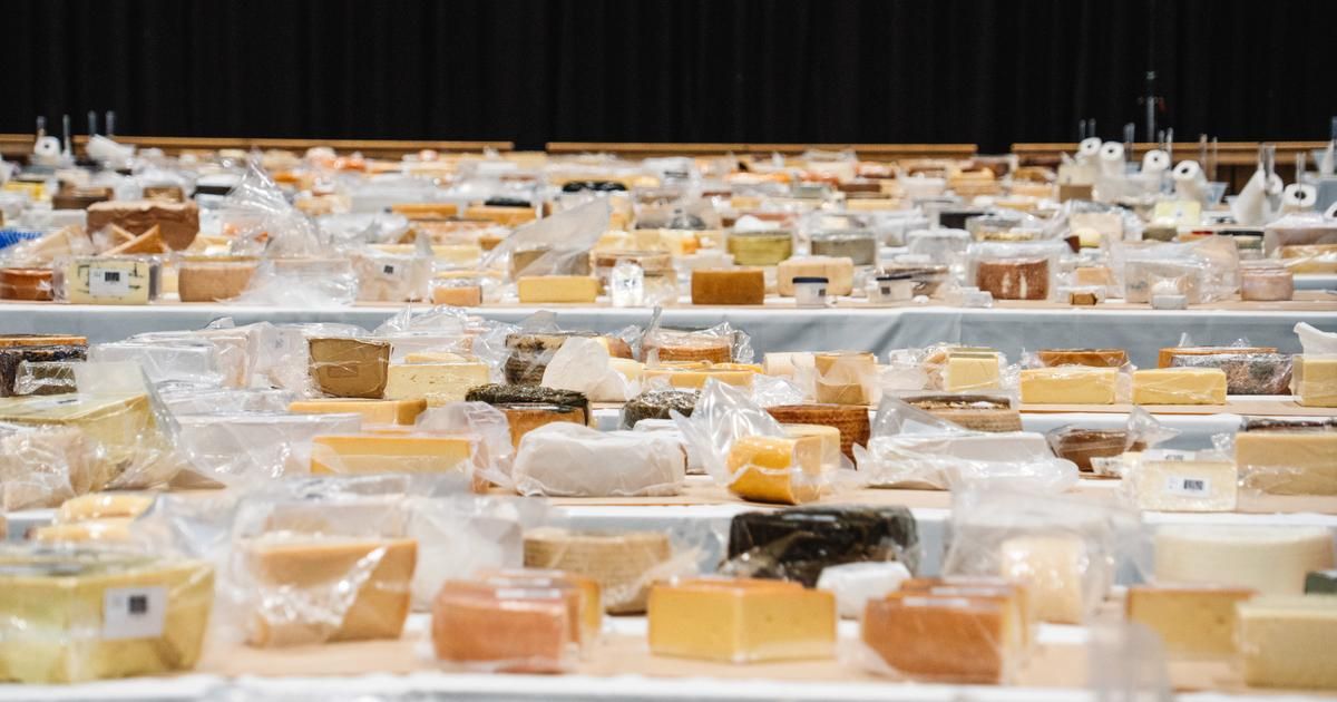 La Suisse triomphe au World Cheese Awards avec un fromage exceptionnel