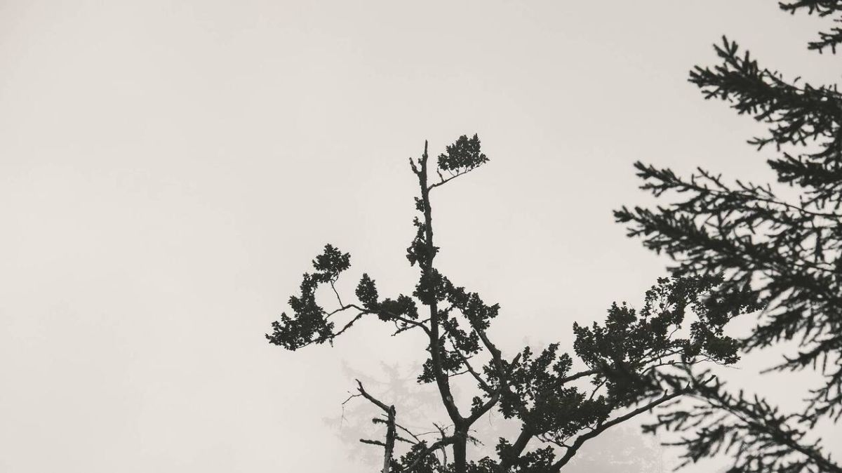 Rouen sous un ciel de brouillard : prévisions pour le 5 décembre 2025