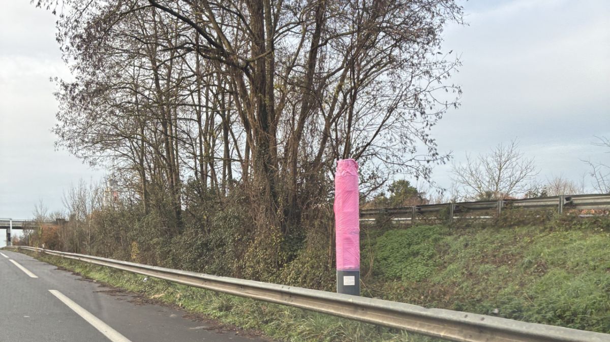 Les radars niortais se parent de rose : un geste symbolique mystérieux