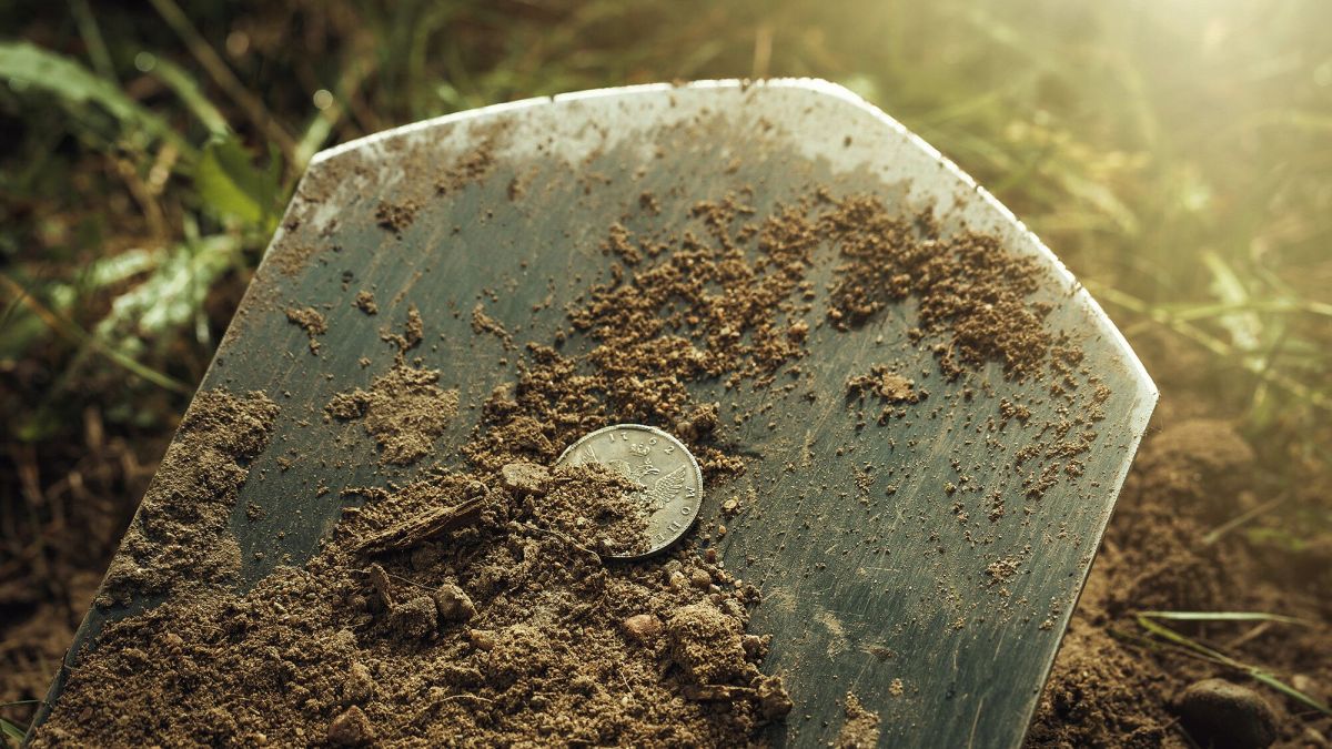 Un trésor oublié : 2000 pièces découvertes dans un jardin des Deux-Sèvres