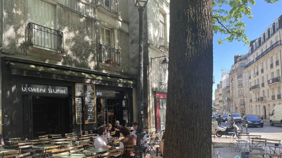 Un changement controversé au Chien stupide : clients inquiets après l'annulation du DJ