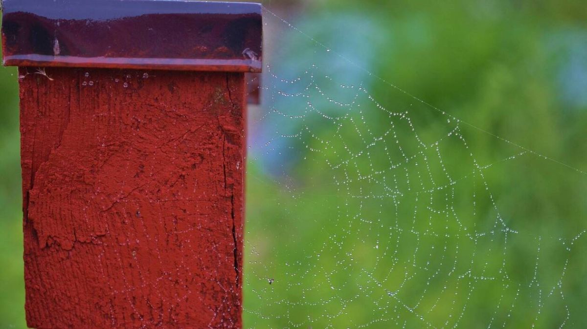 Météo de décembre : un dimanche sous le signe de la bruine à Caen