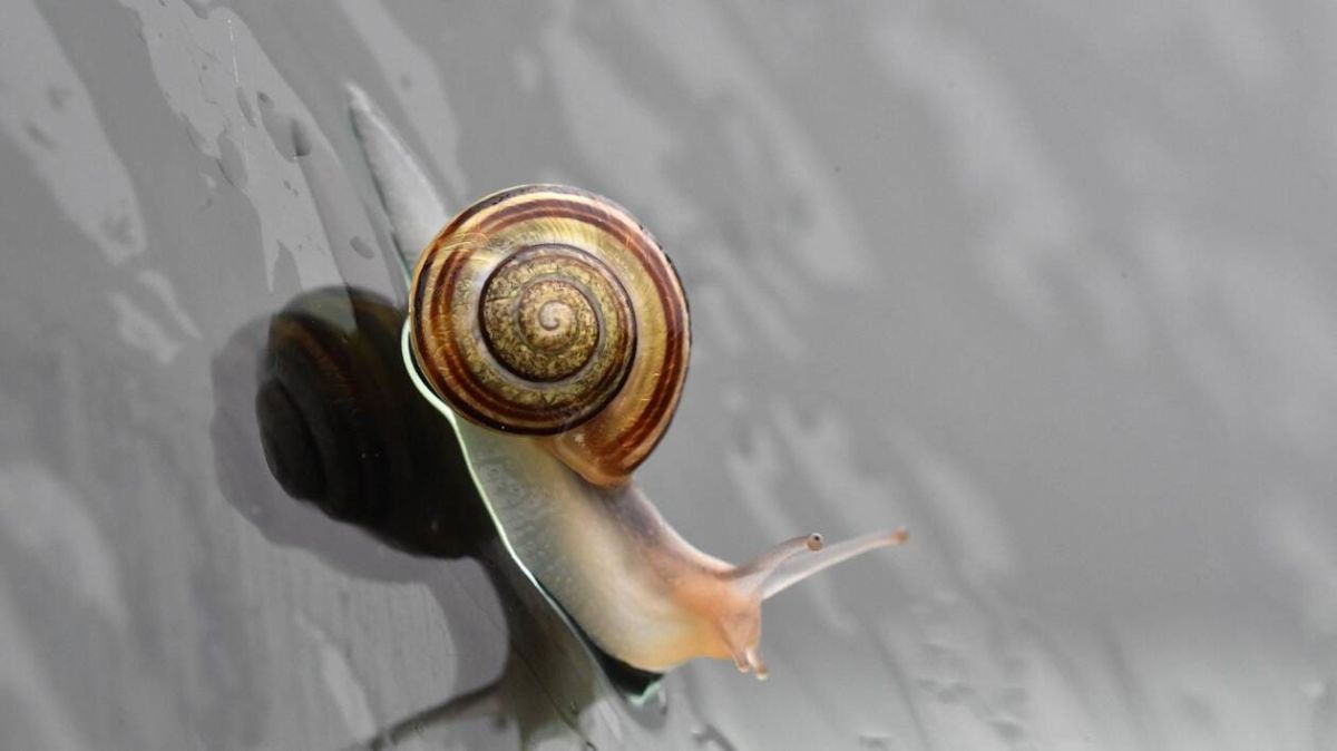 Un dimanche pluvieux au Havre : prévisions météorologiques détaillées