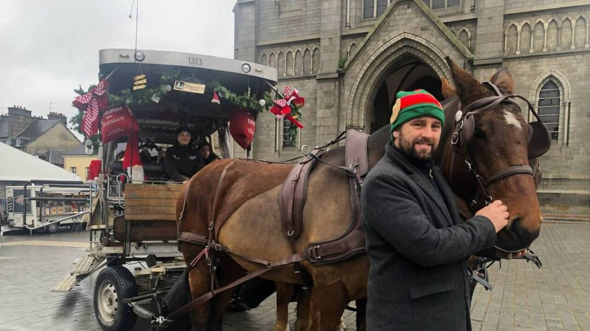 Balades enchantées à Flers : découvrez les cobs normands en calèche