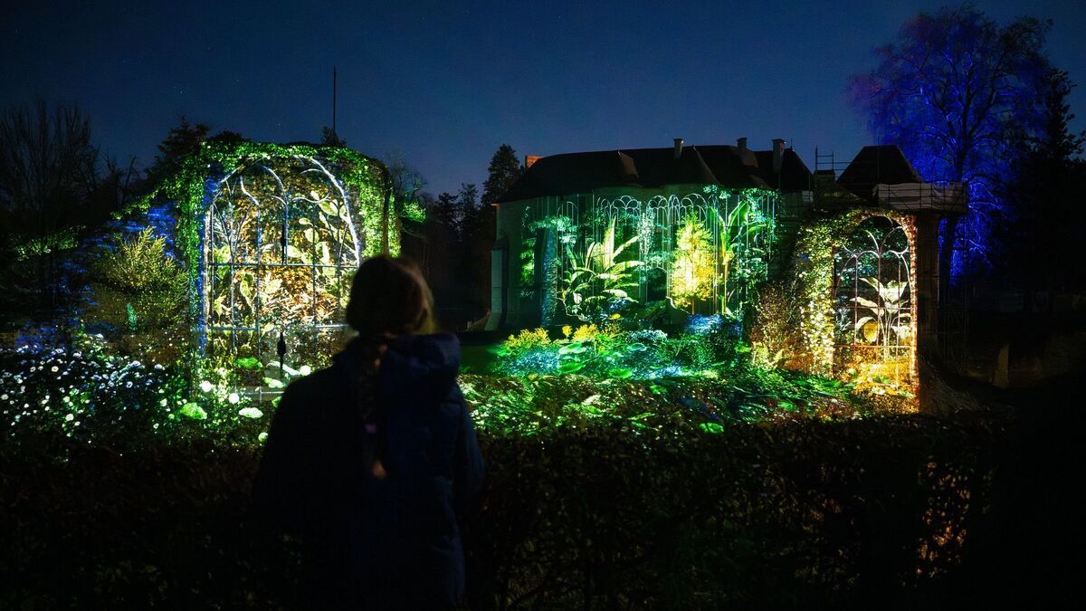 Plongée nocturne au cœur d'un rêve : Arbora Lumina émerveille le domaine d'Harcourt