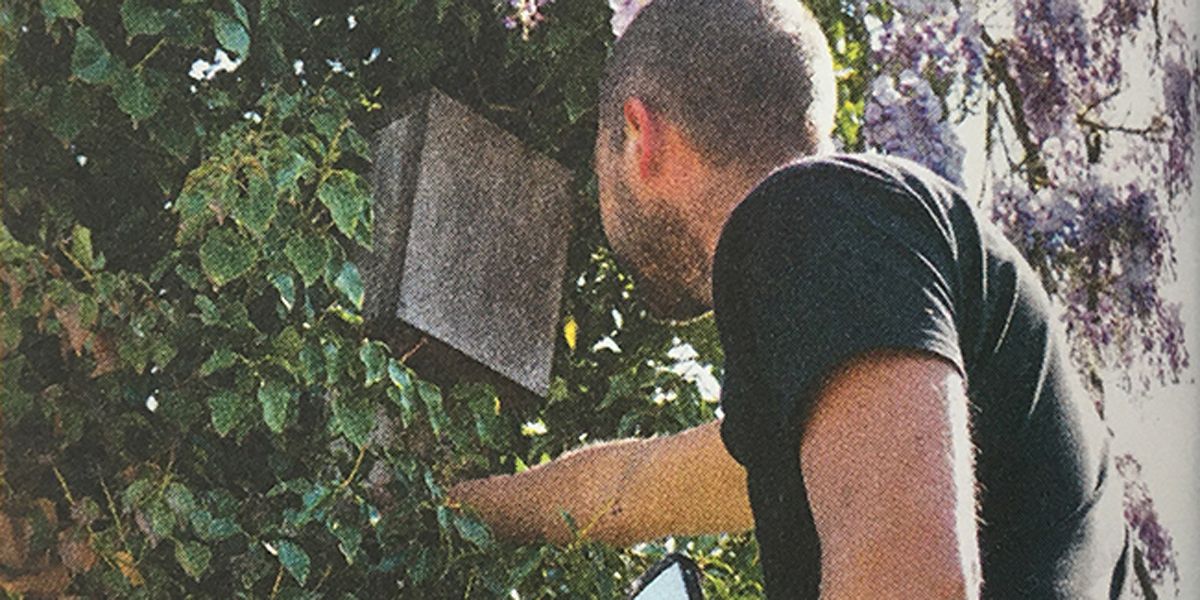 Construire un nichoir à chauves-souris : un geste pour la nature