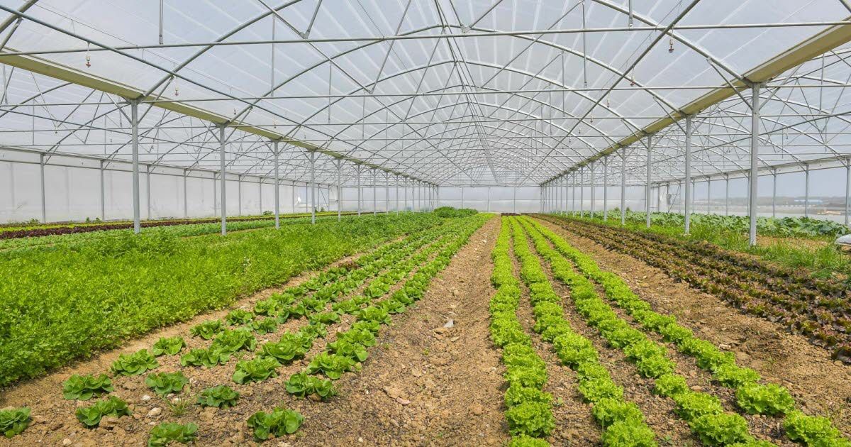 Les agriculteurs réclament des actions concrètes pour la souveraineté alimentaire