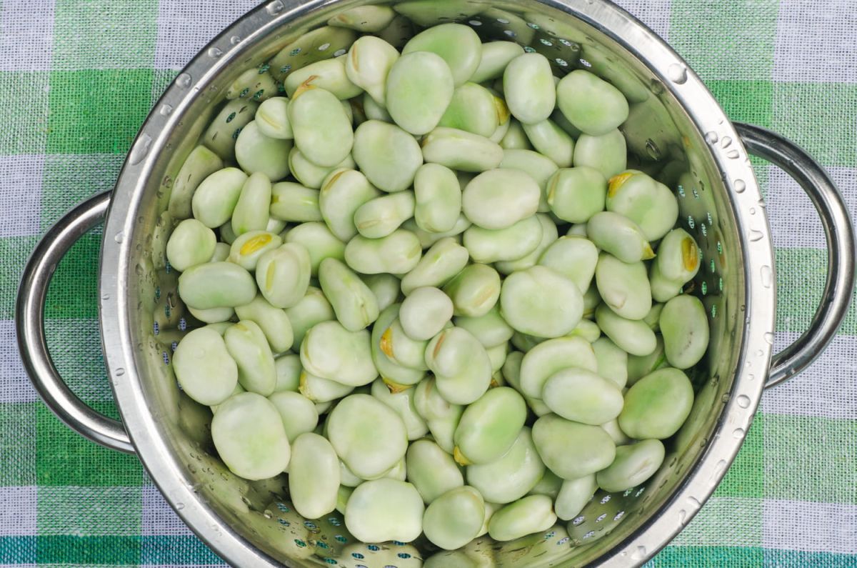 La fève : un trésor culinaire à redécouvrir