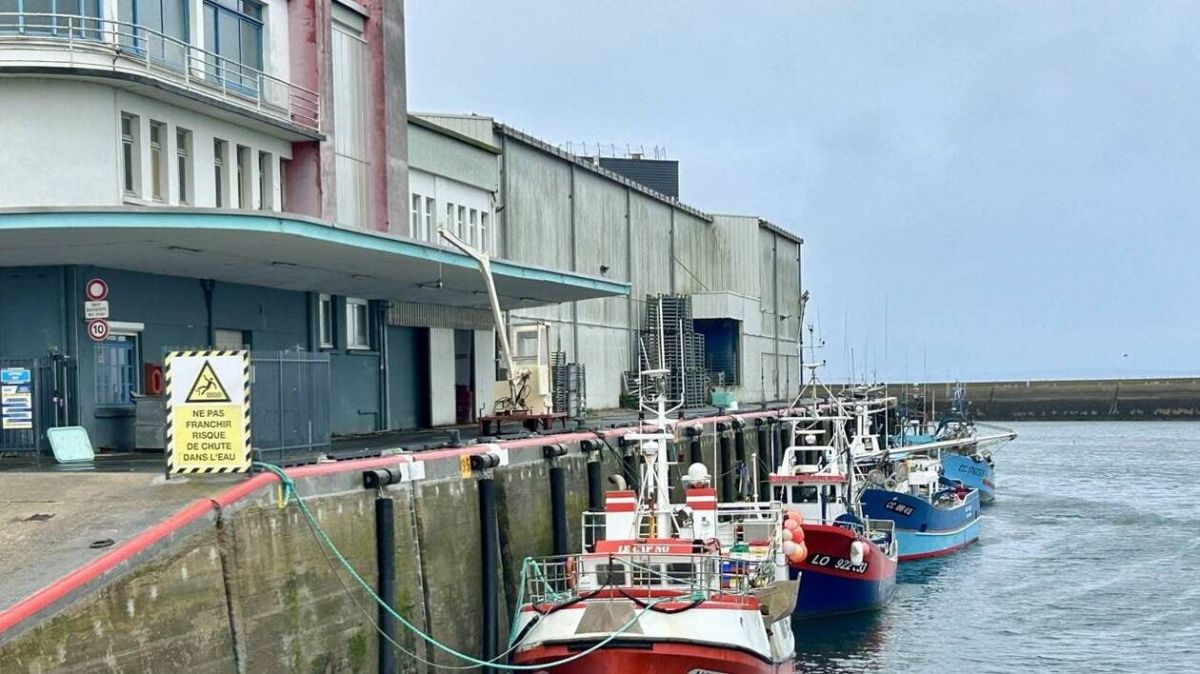 Douarnenez : une saison exceptionnellement riche pour les bolincheurs en novembre