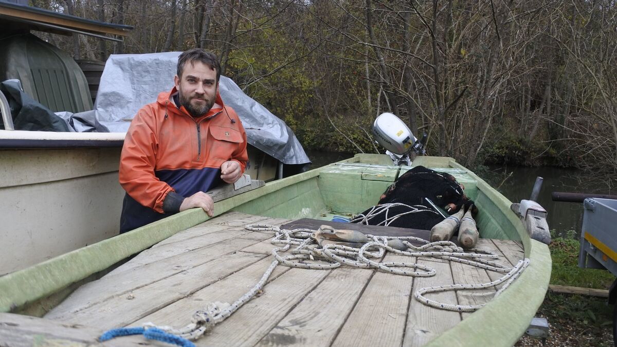 Les pêcheurs de la Seine : une lutte acharnée pour redécouvrir leur métier