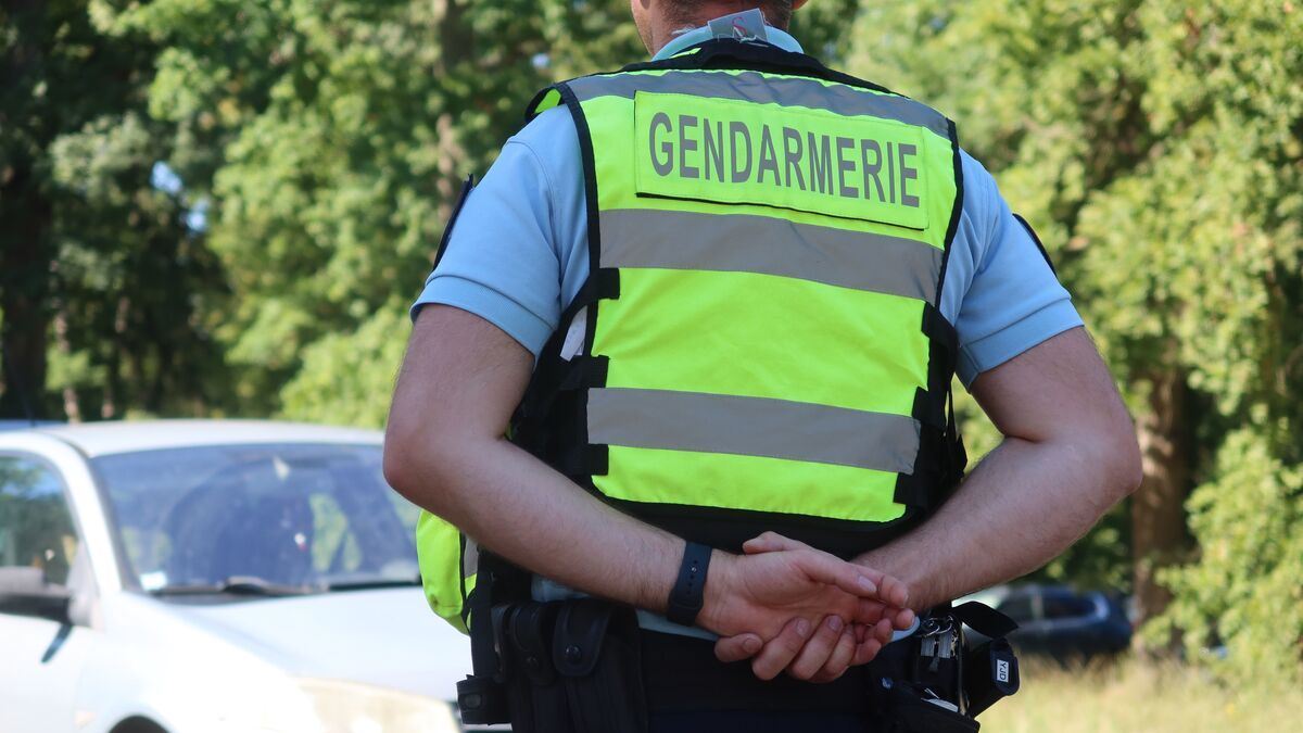 Une course-poursuite spectaculaire se termine contre un arbre dans l'Oise