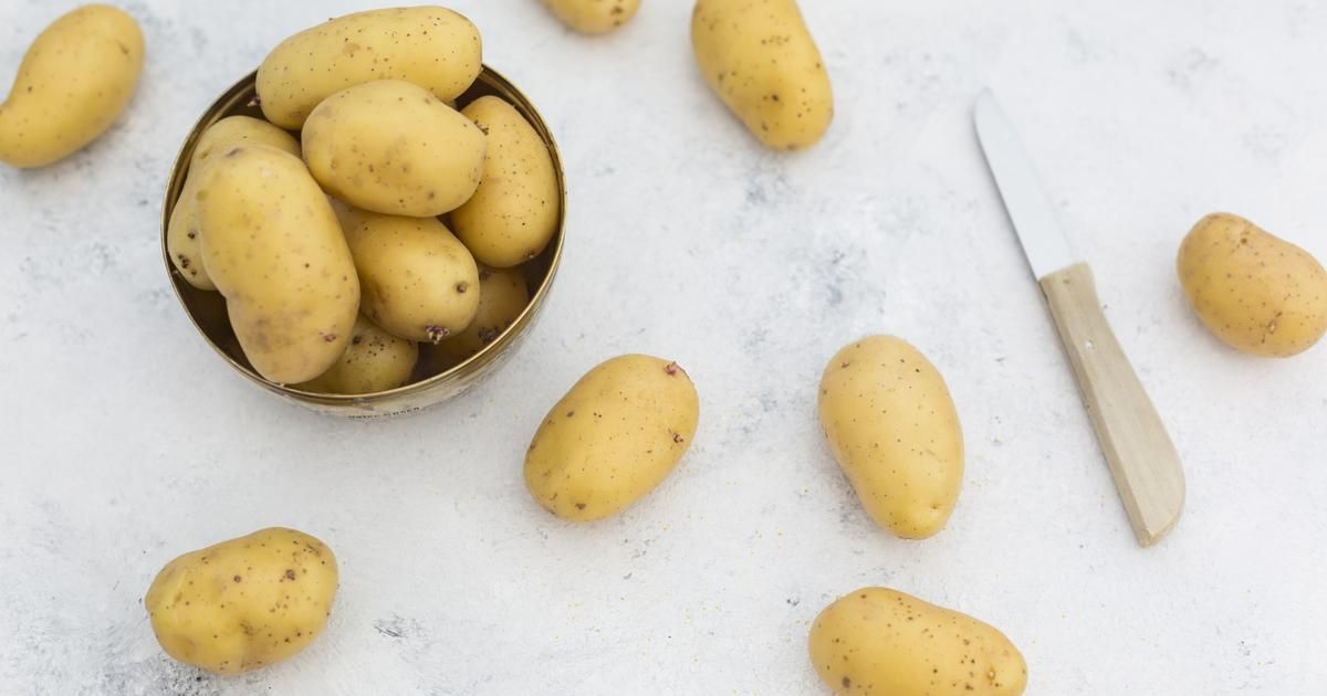 Secrets de conservation : comment préserver vos pommes de terre ?