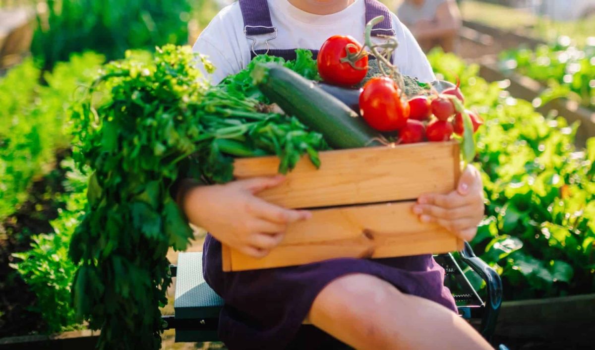 Révolutionnez votre potager : comment un simple changement d'emplacement multiplie les récoltes