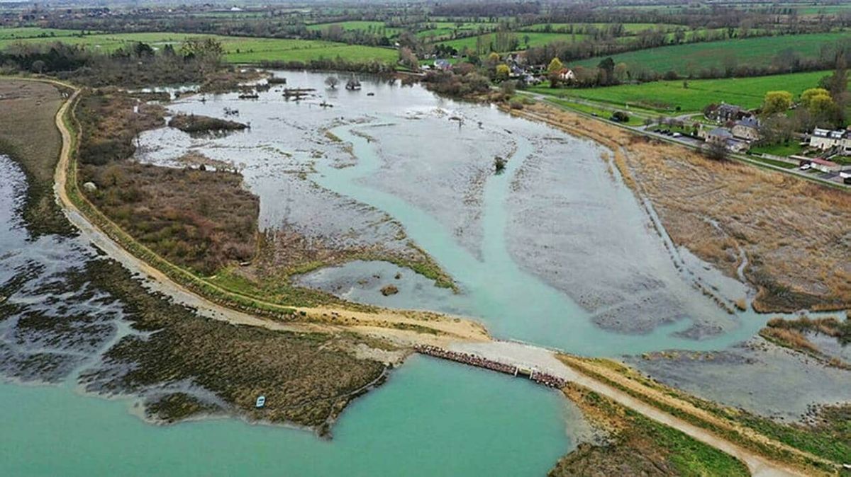 Sallenelles : la baie, trésor à préserver