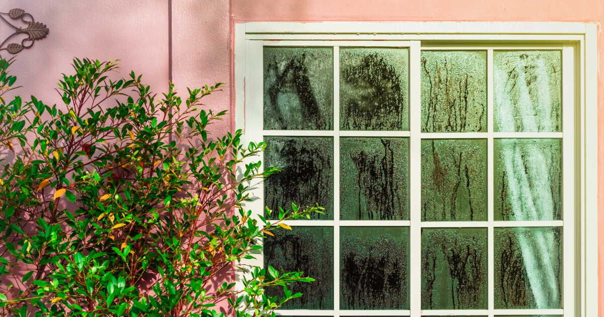 6 solutions brillantes pour garder vos fenêtres au chaud cet hiver