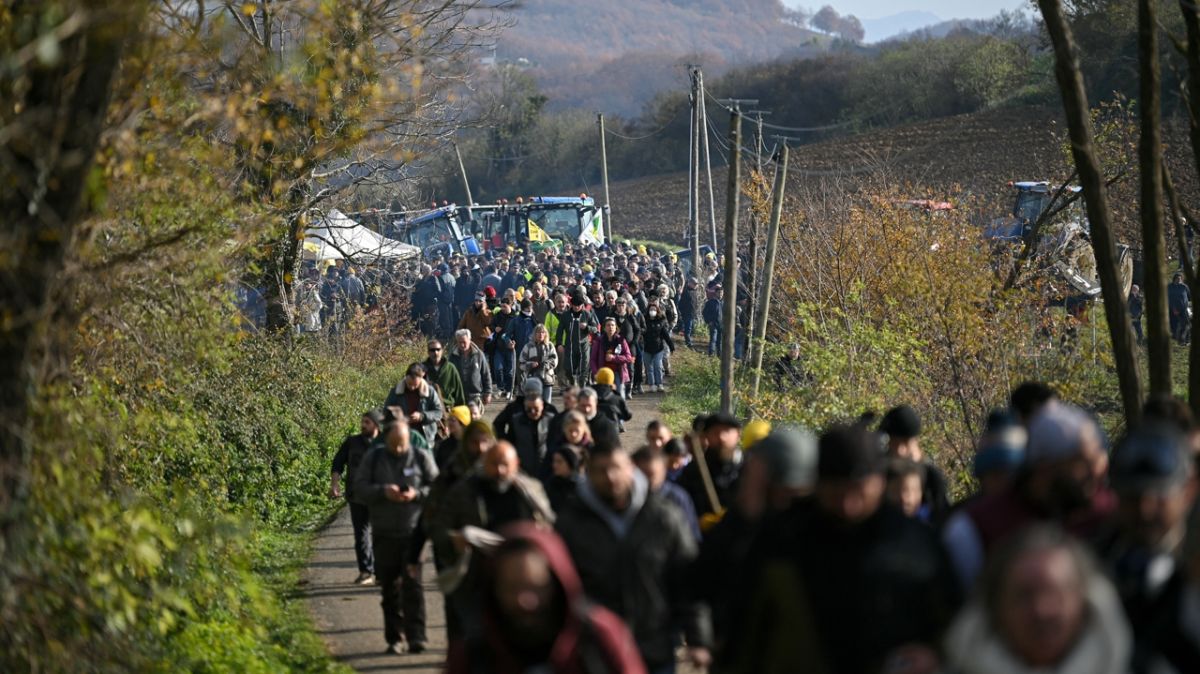 Abattage controversé en Ariège : la colère des agriculteurs face à la dermatose nodulaire