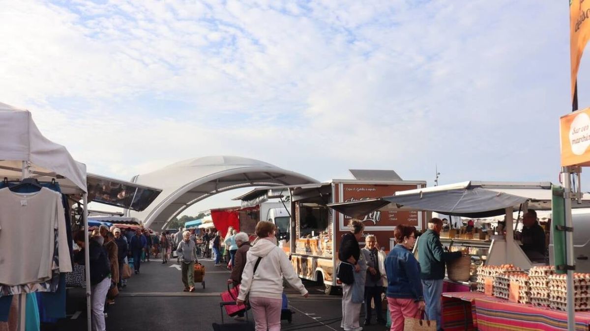 Le bilan de Philippe Le Goff à Guingamp : entre réussites et promesses non tenues