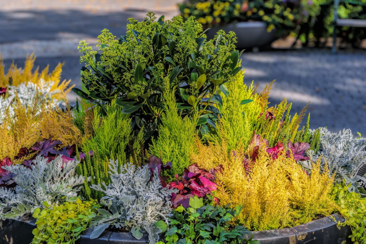 Transformez votre jardin avec l'art du pot scaping