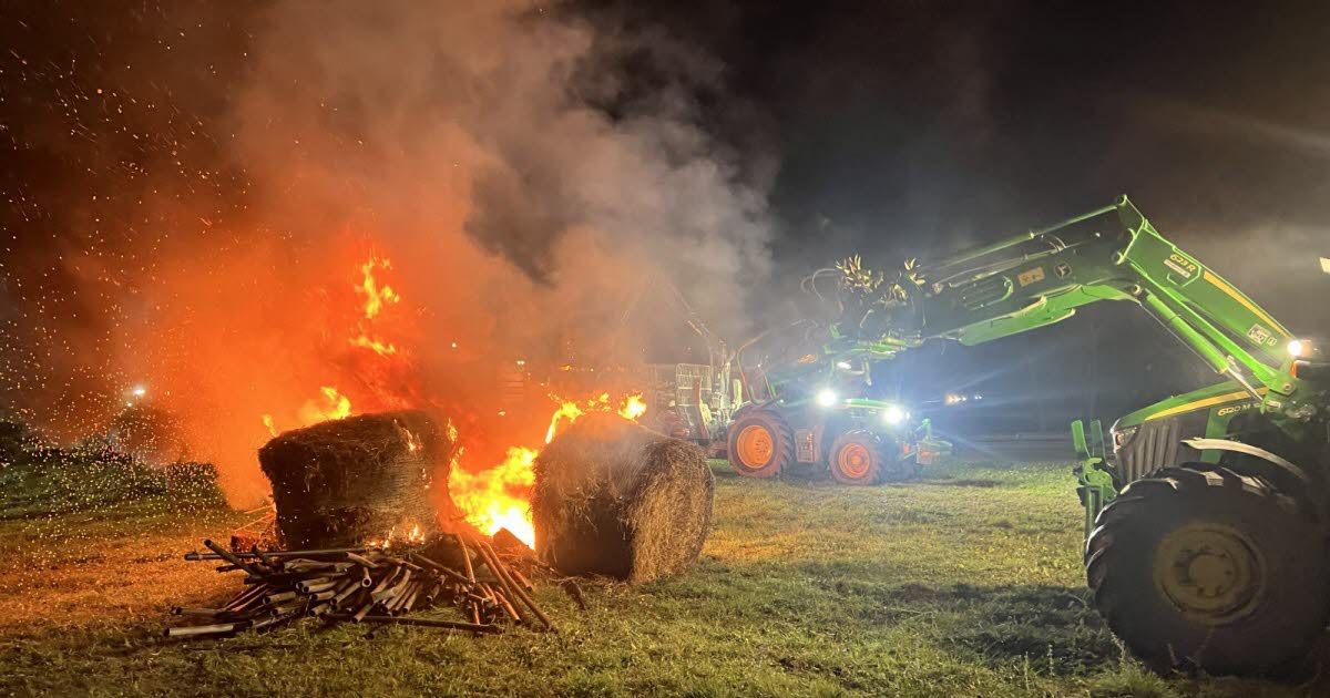 Des agriculteurs en colère bloquent la N7 pour dénoncer des abattages massifs