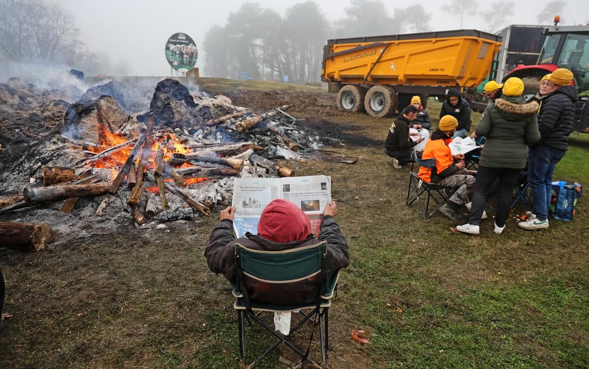 La colère des agriculteurs : enjeux sanitaires et tensions commerciales en France