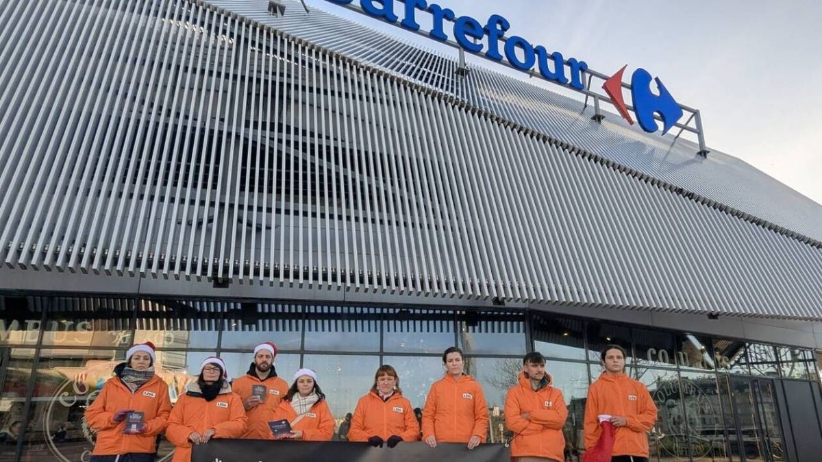 La lutte de L214 pour réduire le nombre d'animaux tués par Carrefour