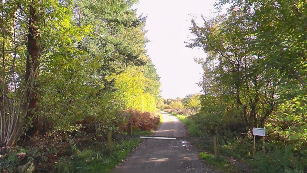 Disparition mystérieuse : une battue pour retrouver Jean-Luc Bordet, six mois après sa soudaine disparition