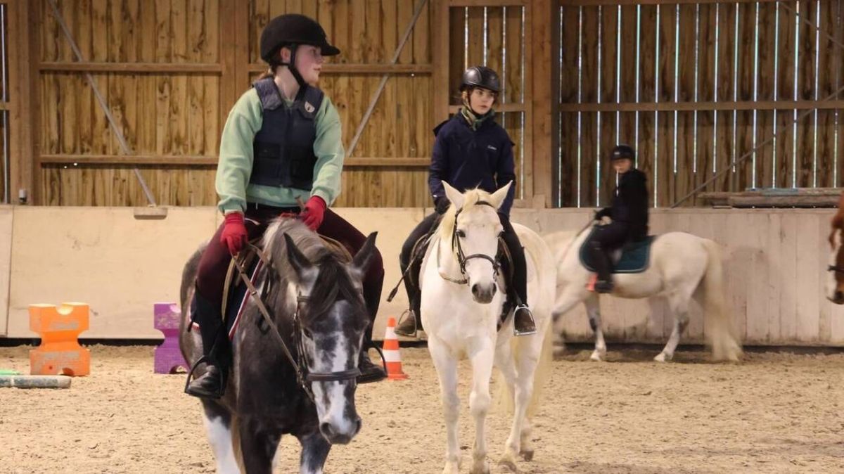 À Brécey, un collège initie les jeunes à la responsabilité grâce à l'équitation