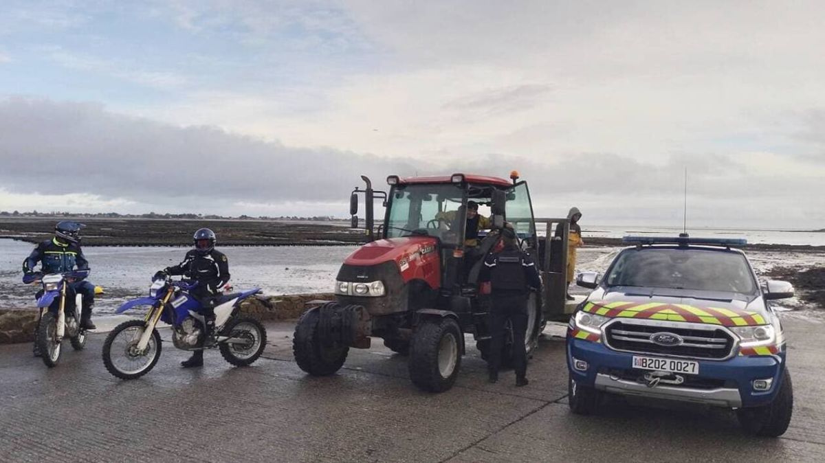 La lutte contre le vol d’huîtres s’intensifie en Manche pour les fêtes