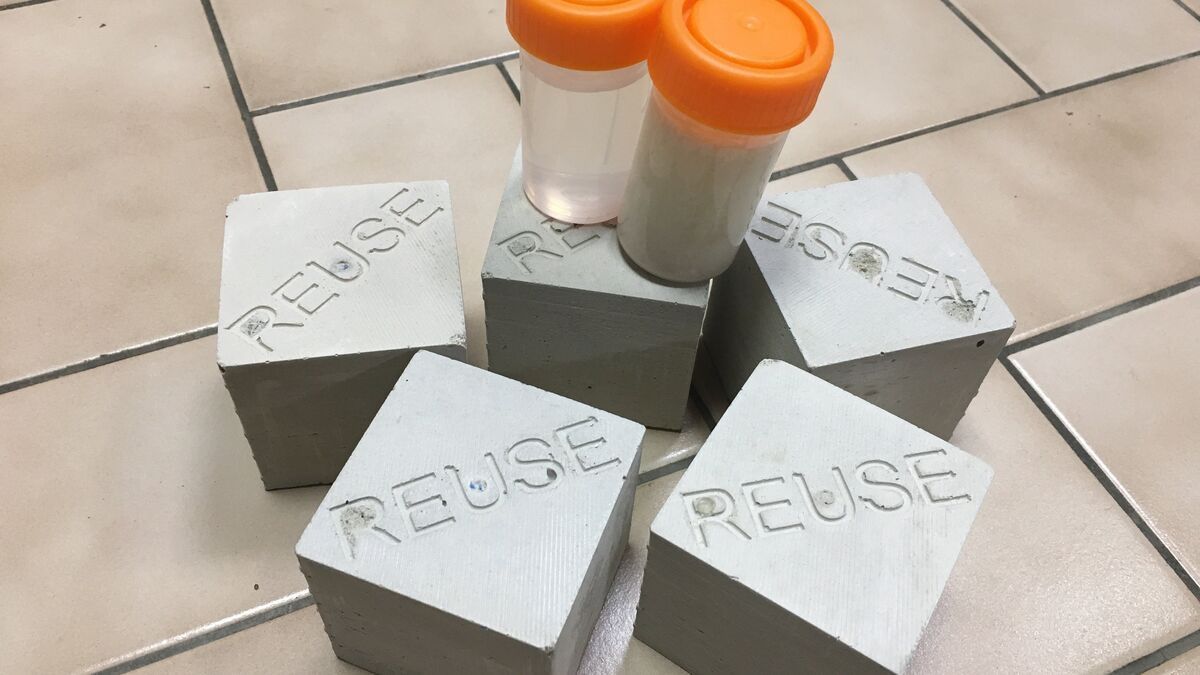 De l’andouille au béton : l’initiative écoresponsable qui fait parler d’elle