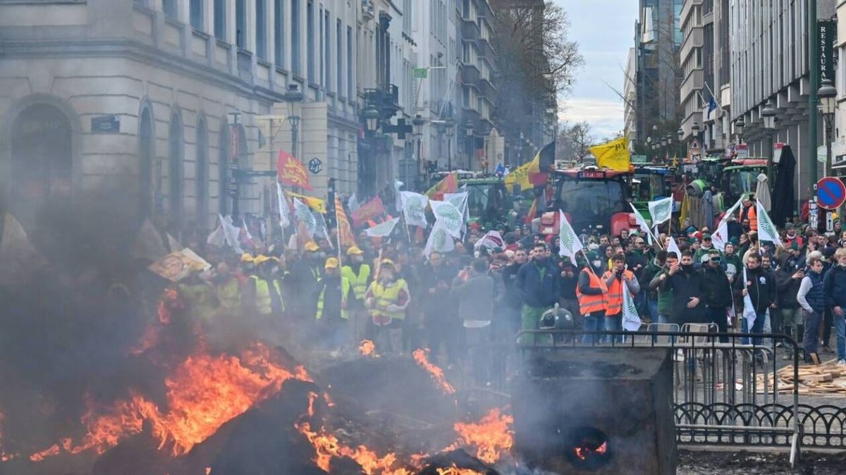 Les agriculteurs en colère défilent à Bruxelles : un combat contre l'accord Mercosur