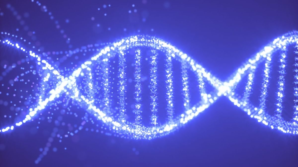 Choisir son bébé : l'optimisation génétique fait débat