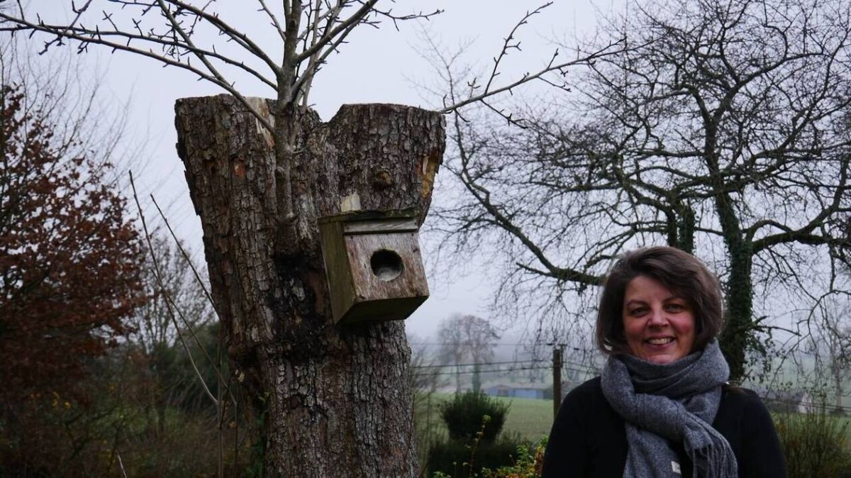 Lutter contre la précarité alimentaire : une cantine scolaire accessible pour tous
