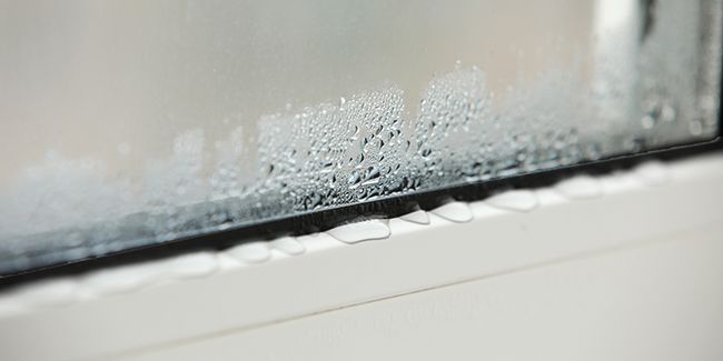 Comprendre l'humidité dans votre chambre