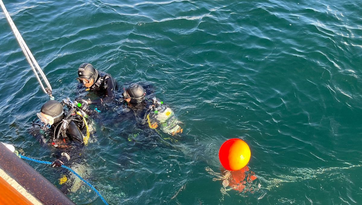 À la découverte des épaves oubliées de Dunkerque