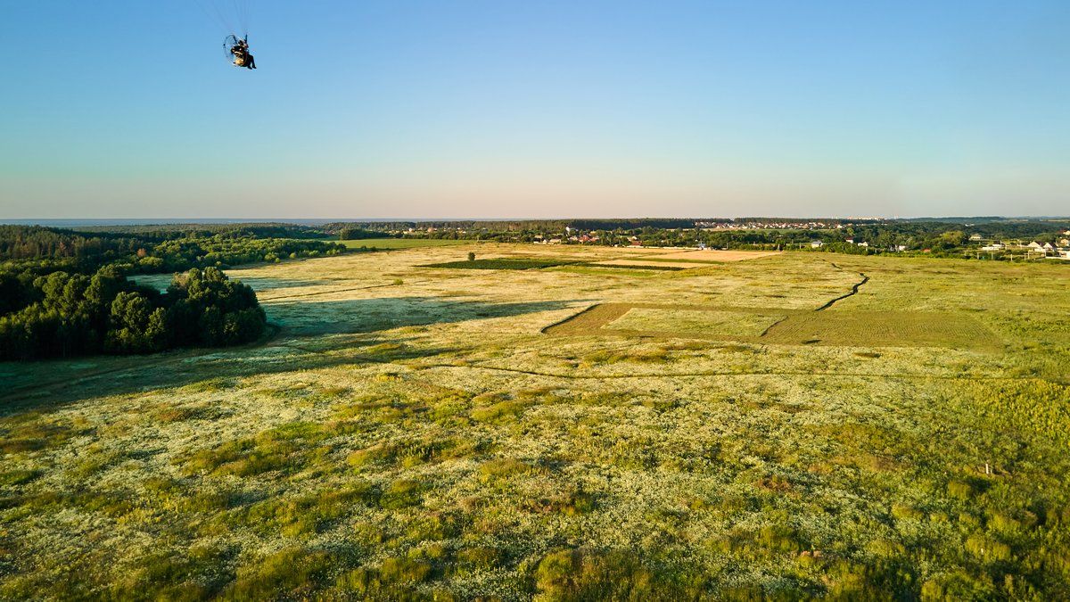 Un parapentiste se retrouve bloqué dans un arbre à 20 mètres de hauteur